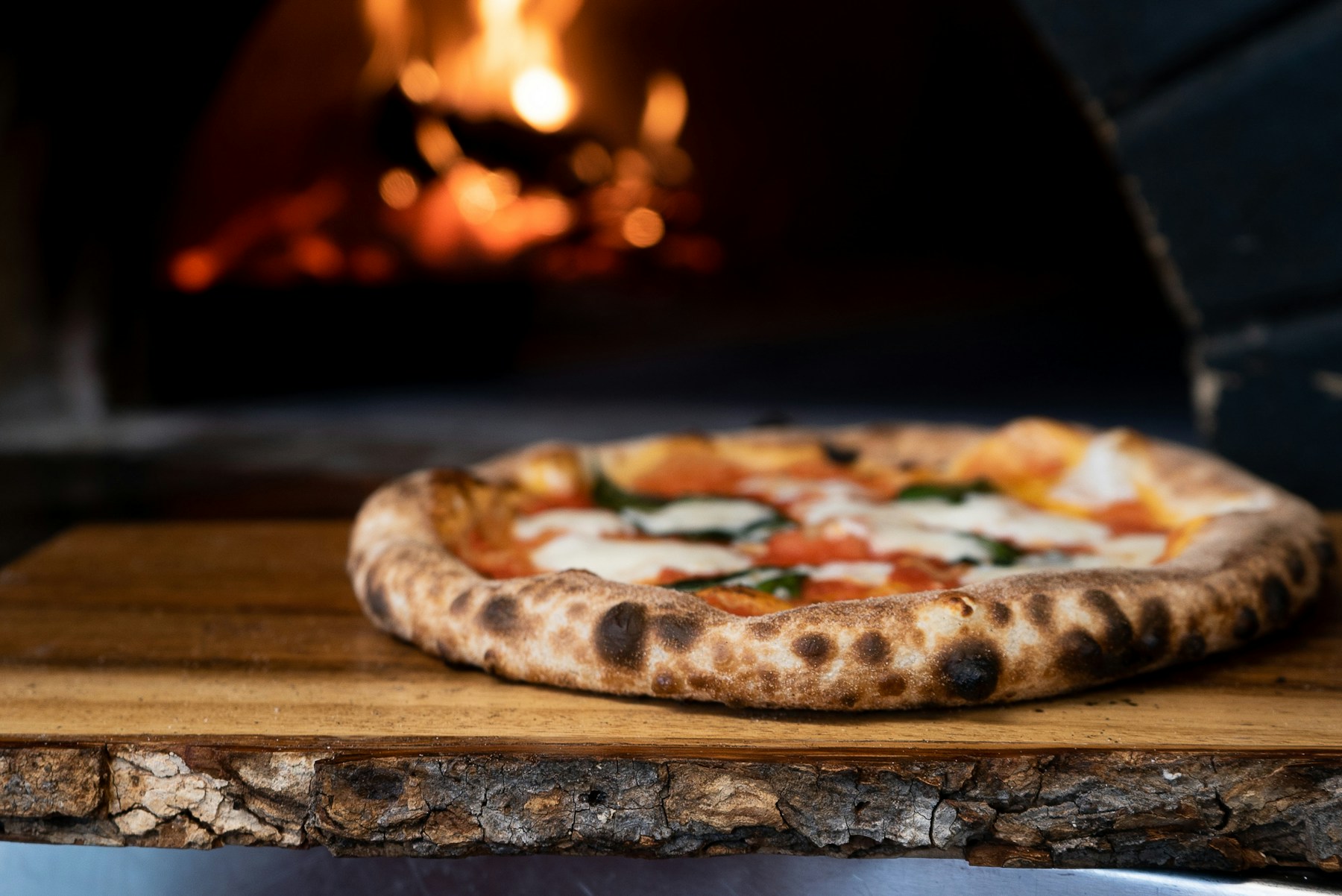 Wood-fired Proof Pizza with blistered crust, fresh mozzarella, and basil
